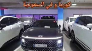استيراد السيارات من كوريا وأمريكا.. لماذا يتجه السعوديون إليه؟ وخبير يوضح المزايا والمخاطر