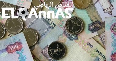 سعر الدرهم الإماراتي اليوم الجمعة 13-6-2025 يحقق 13.52 جنيه للشراء