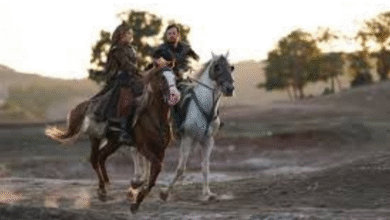 الحلقة الأولى من مسلسل "المؤسس أورهان" صعود ابن عثمان وبداية الدولة العثمانية