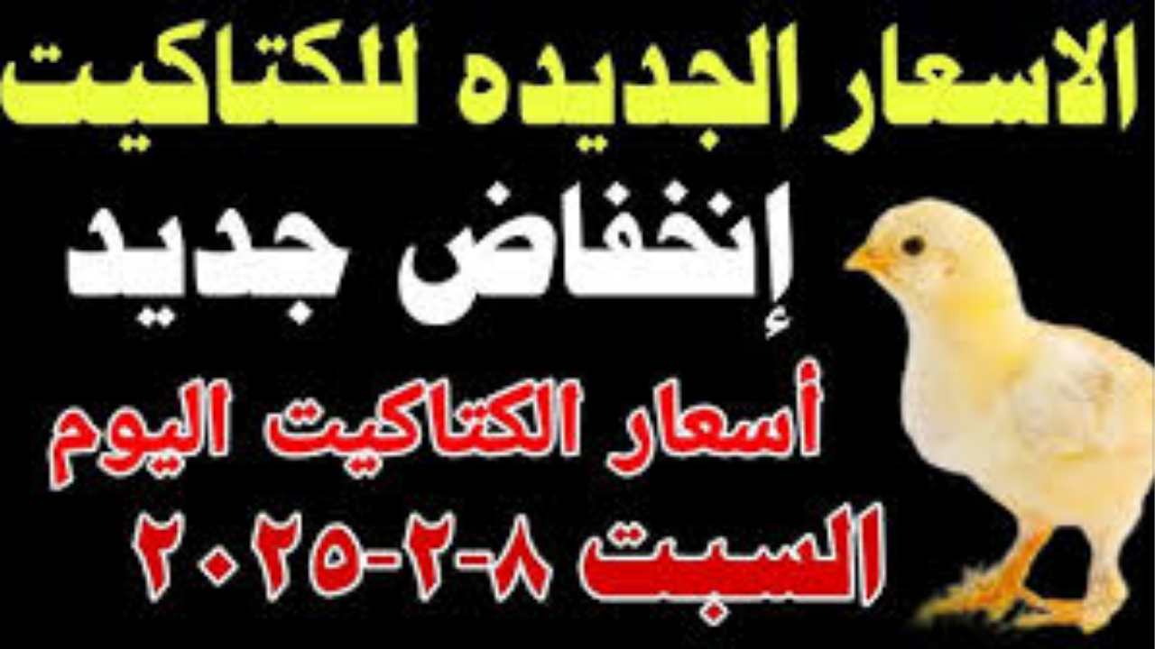 تحديث بورصة الدواجن: أسعار الكتاكيت والبط اليوم السبت.. الأبيض والساسو يسجلان أرقاماً جديدة