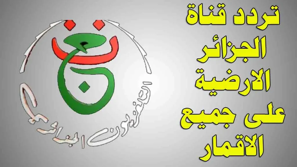 "شاهد البطولة في منزل".. تردد قناة الجزائرية الأرضية لمتابعة بطولة أفريقيا مجاناً