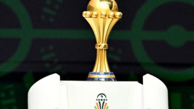 موعد مباريات ربع النهائي في كأس أمم أفريقيا 2026